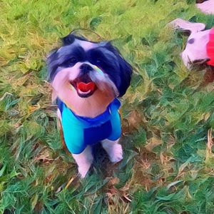 Meet your Posher, Noemi